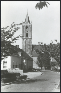 17497 Gezicht in de Jhr. C. Roëlllaan te Eemnes-Buiten, met op de achtergrond de toren van de N.H. Grote of ...